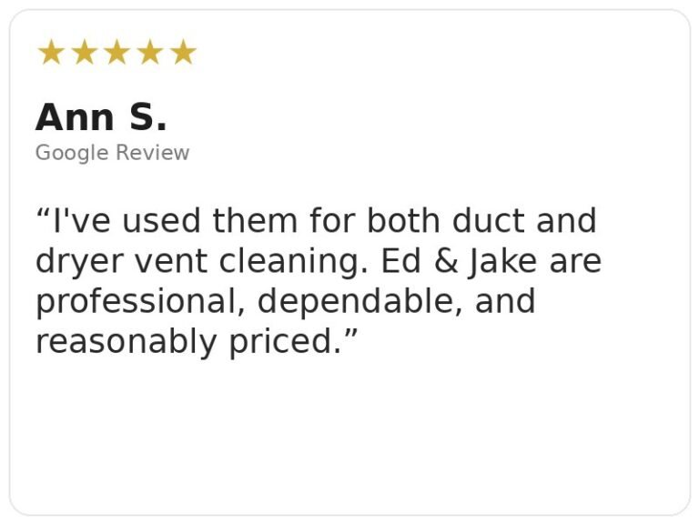 ann s review
